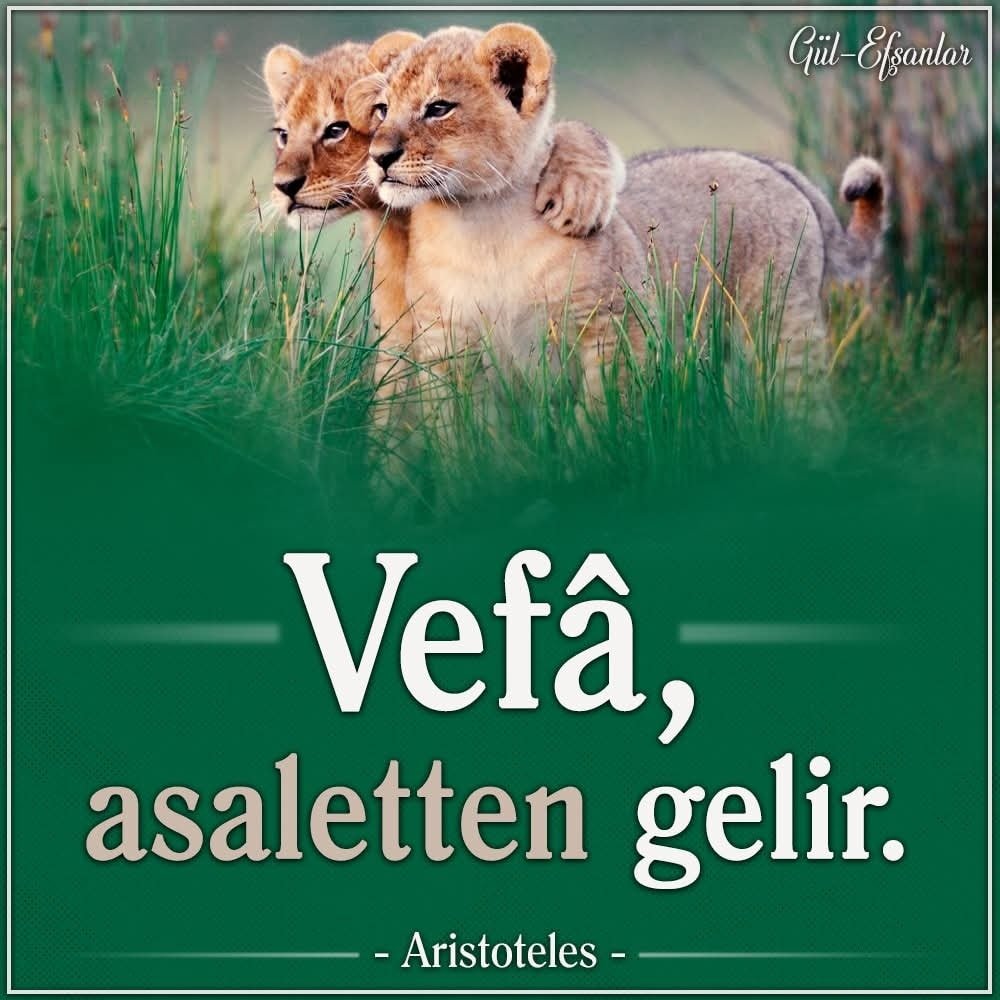 B_Y-CAN (@b_ycan) on Twitter photo 