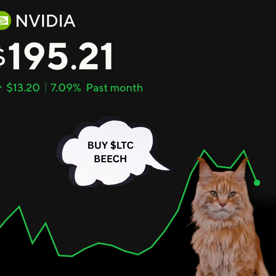 satsltc's tweet image. Listen to the kitty #Litecoin #LTCC