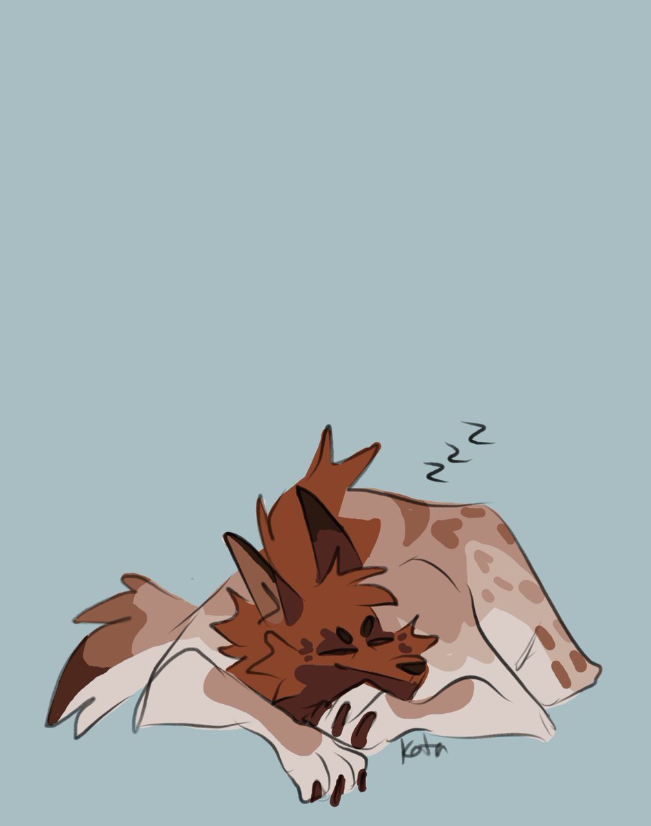 Kota 🔞 (closed) (@kotacat4) on Twitter photo 