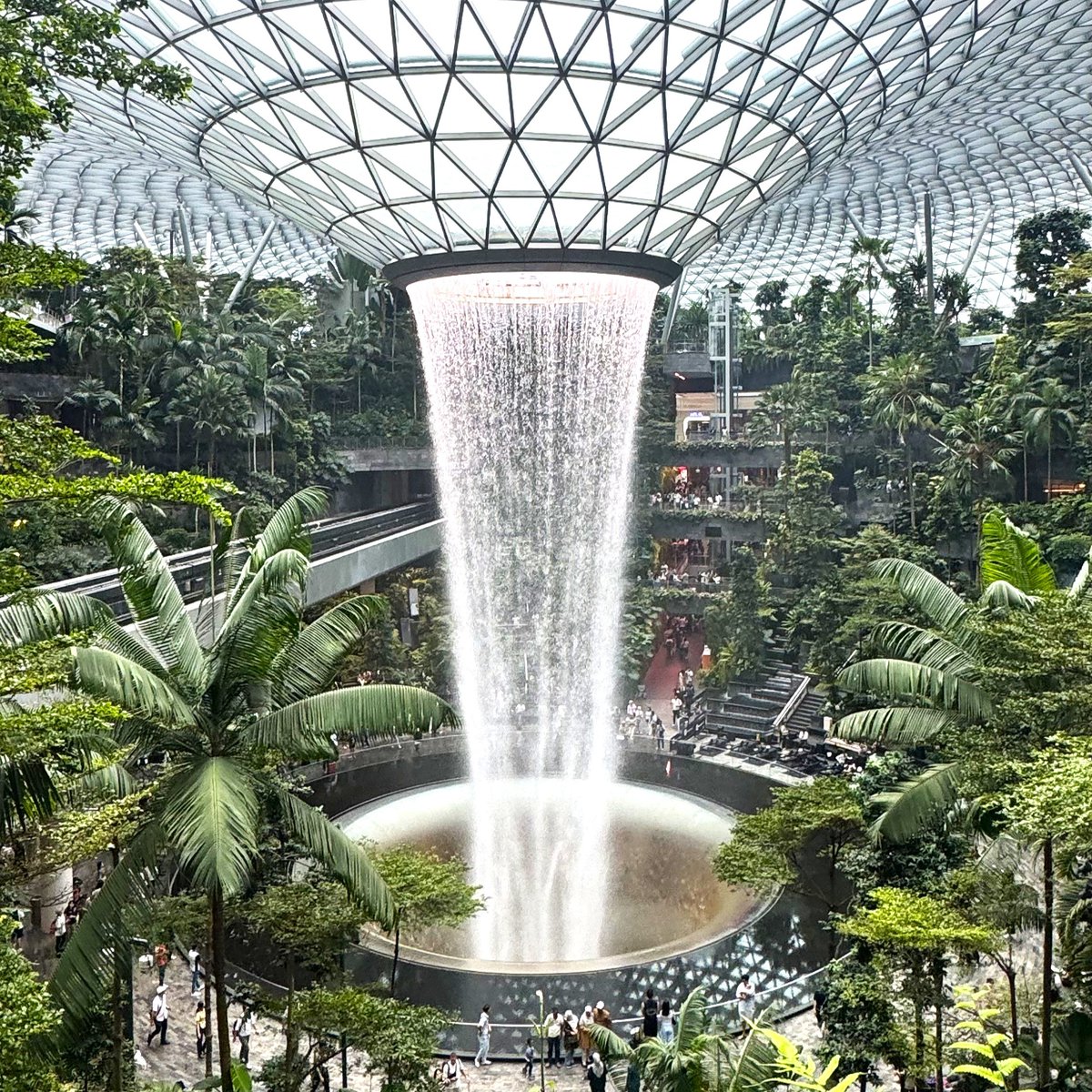 kwassuidesign's tweet photo. 生活デザイン研修(シンガポール)で見た建築紹介　～チャンギ空港・ジュエル～
屋内の人工滝としては世界最長の高さ40ｍの滝です。雨水を活用しているそうです。

#建築 #一級建築士 #二級建築士 #CAD #グラフィックデザイン #デザイン #活水女子大学 #長崎 #建築巡り #シンガポール #チャンギ空港 https://t.co/jjx5TiVpm8