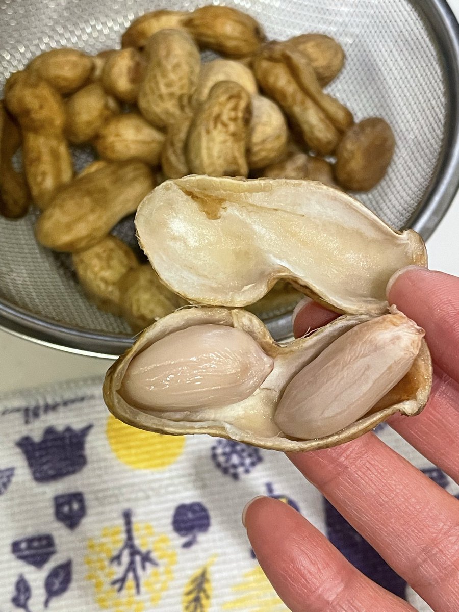 jira1010's tweet image. 昨日は生落花生を塩茹でしてみました

すんごいおいしい
ってわけじゃないけど

つい食べちゃうやつ