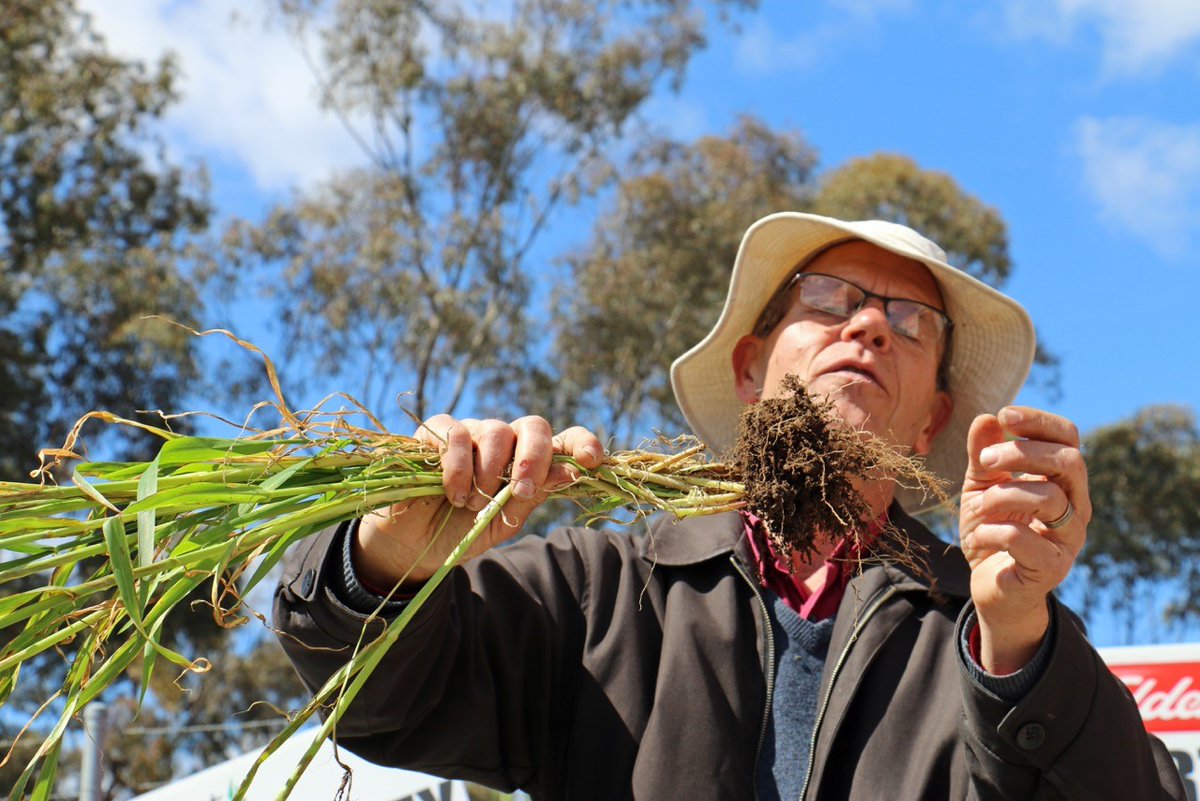 We’re saddened by the passing of Dr. Maarten Stapper, a true pioneer in soil health and biological farming. His passion for educating farmers and improving agriculture through natural systems has left a lasting legacy that will continue to inspire.