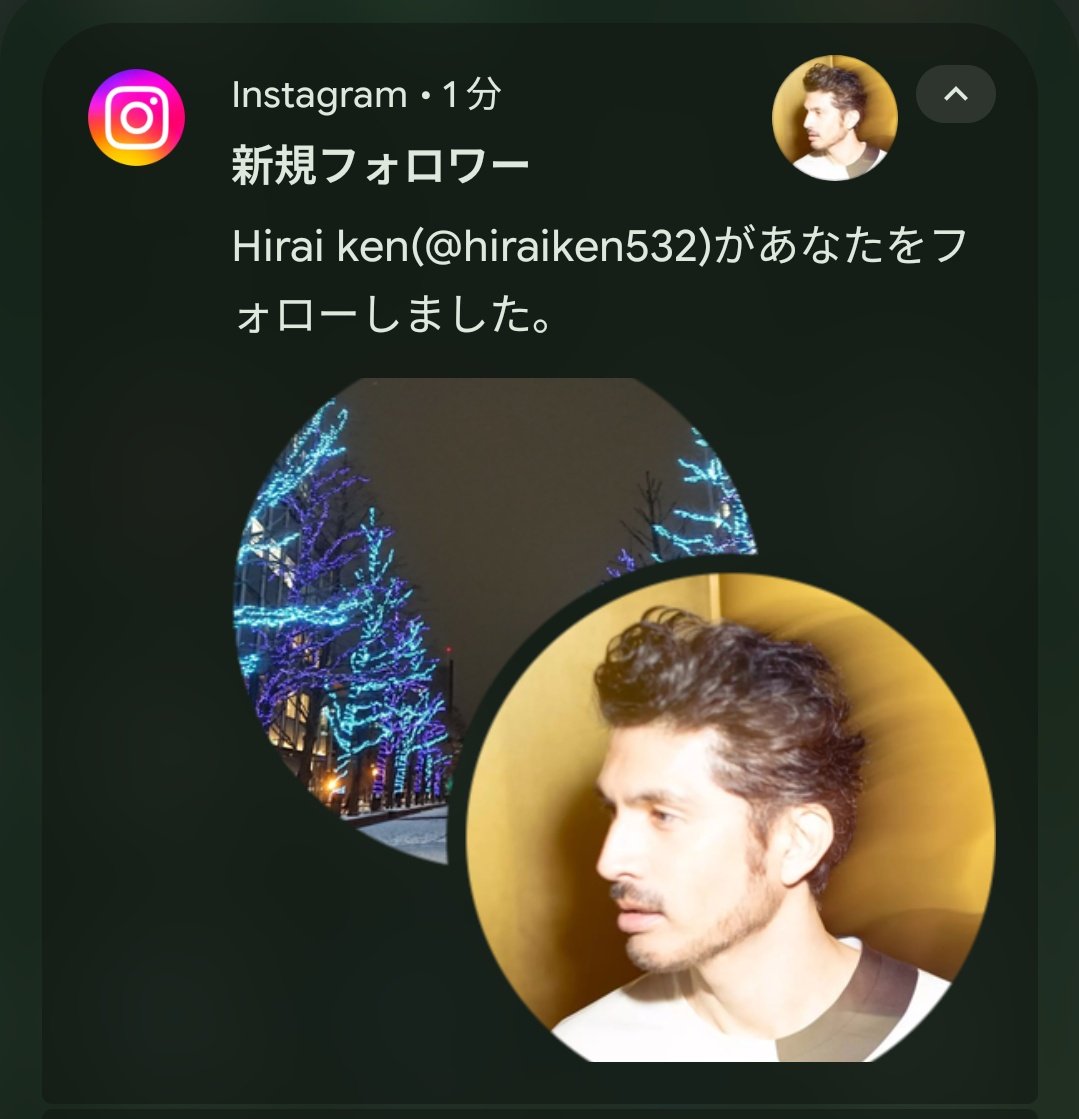 （8月VIP 10%off中) あ～にゃん214315です❣0808 8月VIP 10%off中) あ～にゃん214315です❣0808 トレカチャンピオン