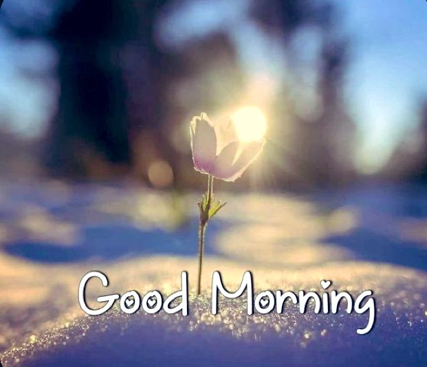 Өглөөний мэнд ❤️❤️❤️