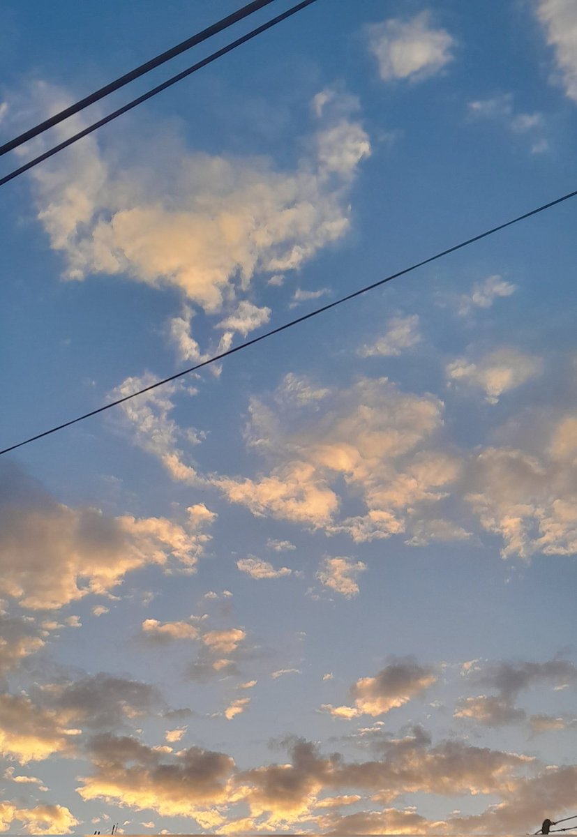 esme_5m's tweet photo. ☀️ https://t.co/gWJwGRPwOQ
