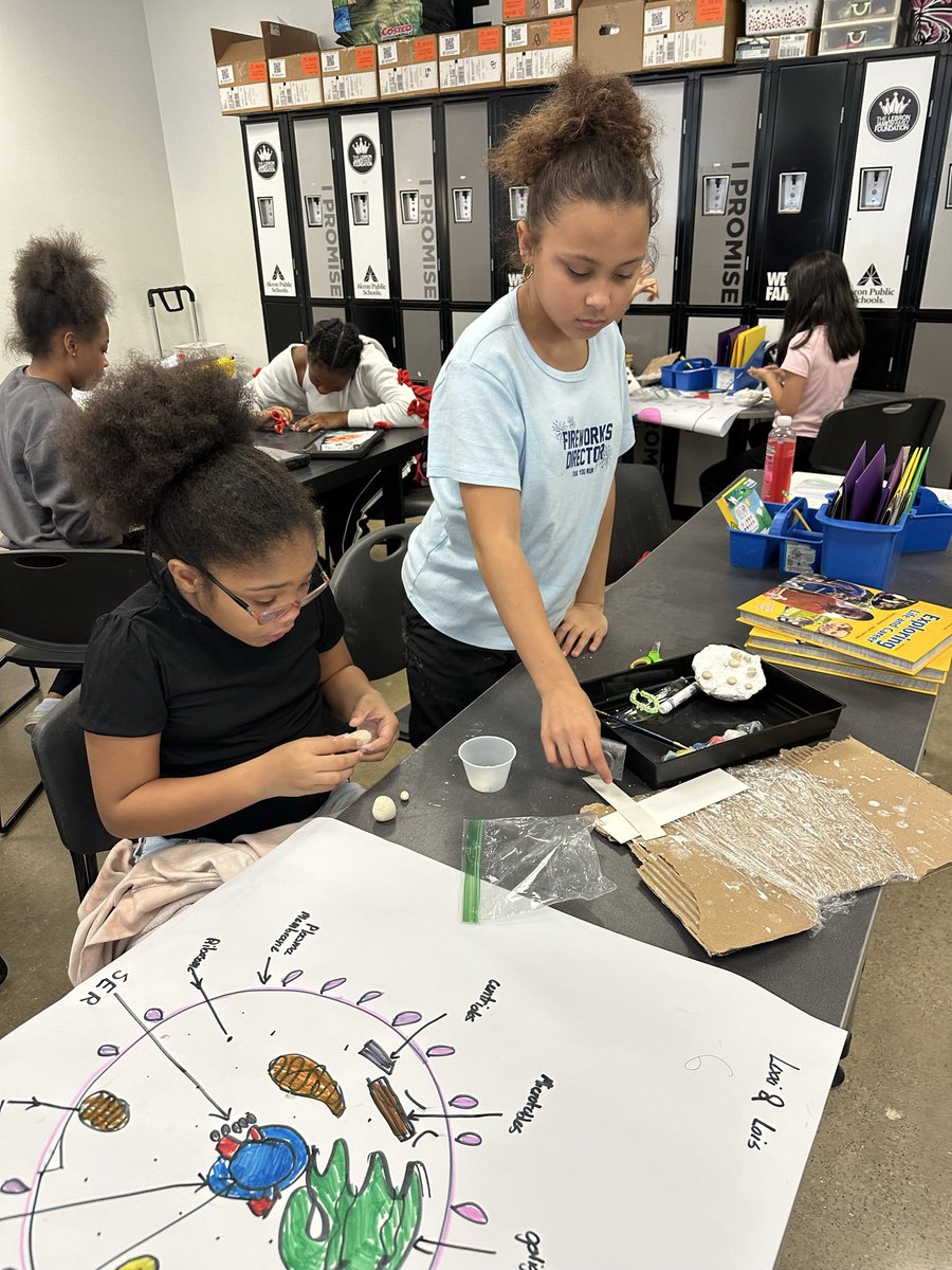 schauerma's tweet image. Building animal cell models and working together @IPROMISESchool #ipromise#akronccaa#stem#ipromise