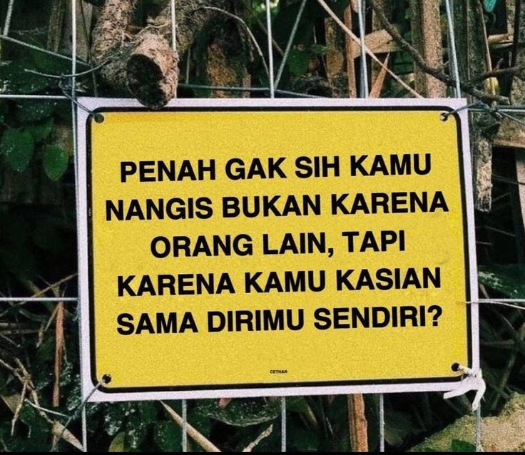 ʀᴜᴀɴɢ ꜱᴇɴᴊᴀ tweet media