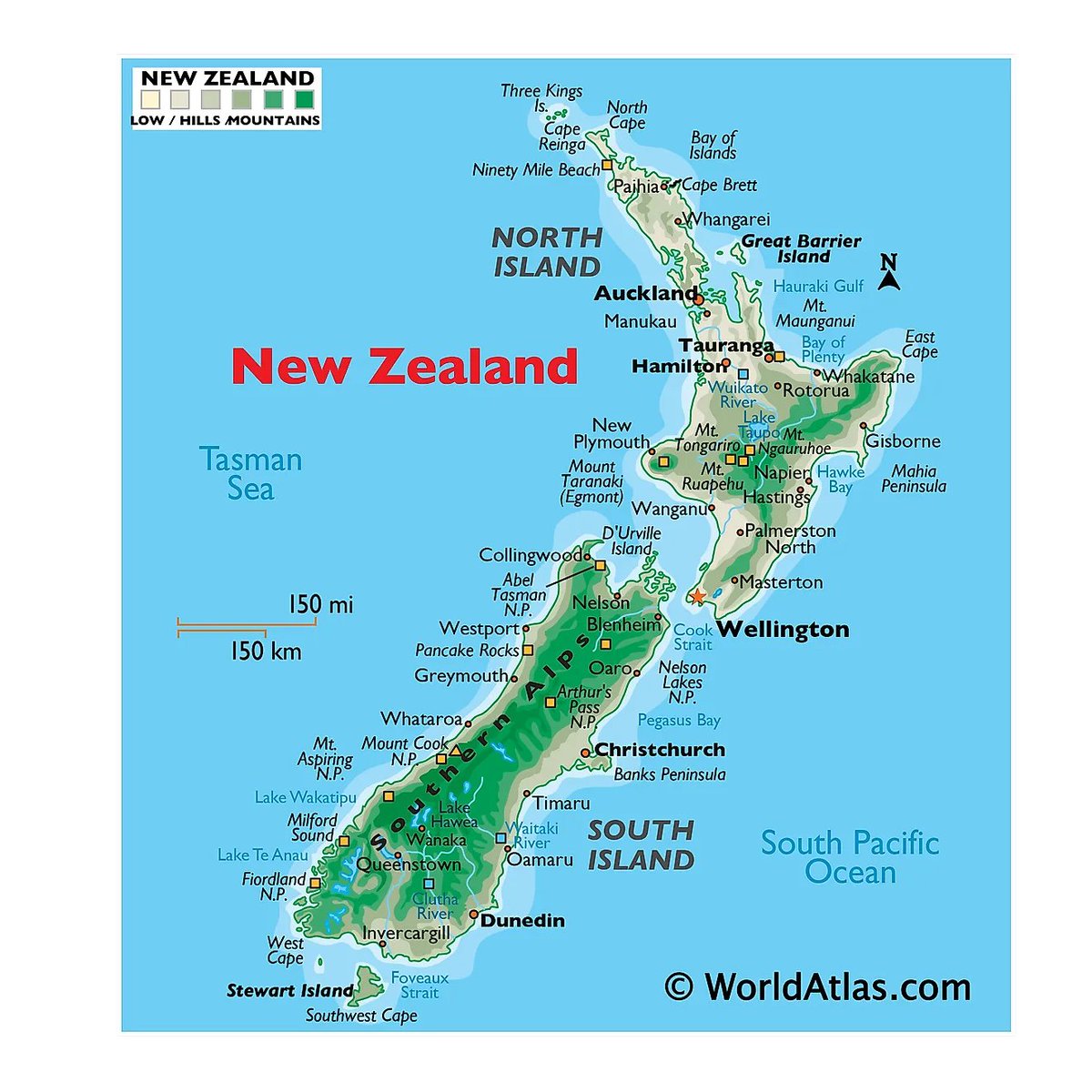 NZ BOSS tweet media