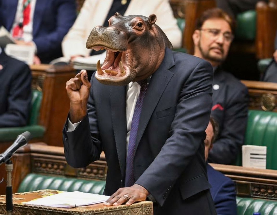 sumsECFC's tweet photo. @Brunte84 He reminds me greatly of a hippo. https://t.co/Jt68f4AGer