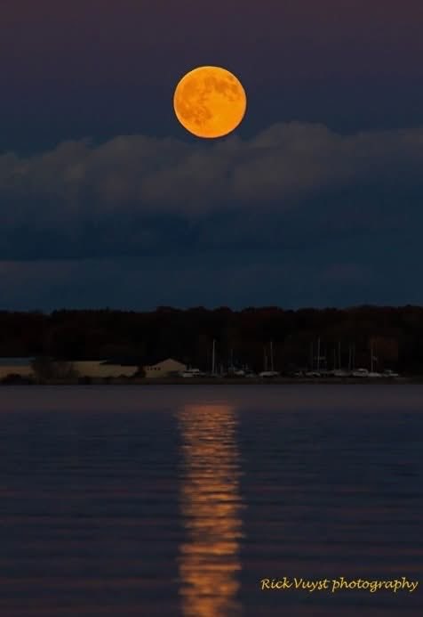 Fly me to the moon. Moonrise over Muskegon Lake tonight November 5, 2025. #moon #weather