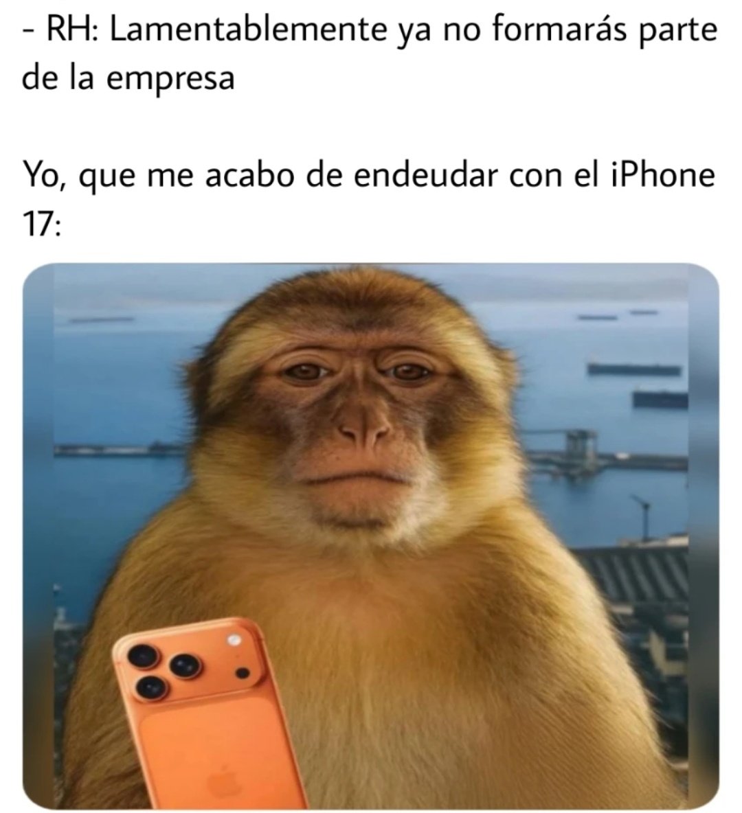 Y yo pensando comprarme un celular de chill