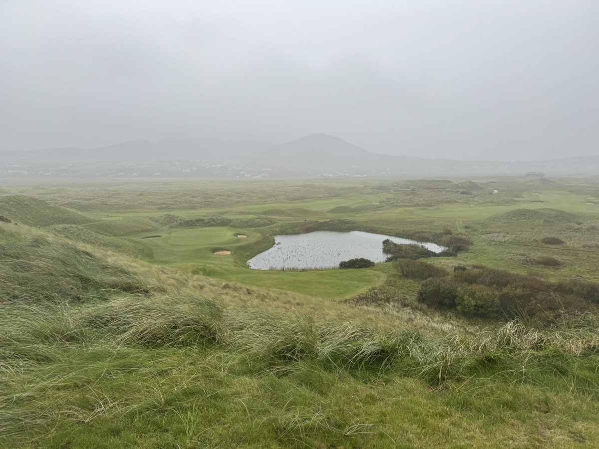 Steve Hewitt tweet media