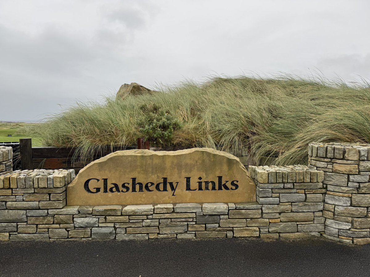 Steve Hewitt tweet media