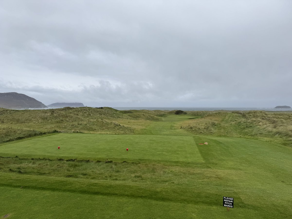 Steve Hewitt tweet media