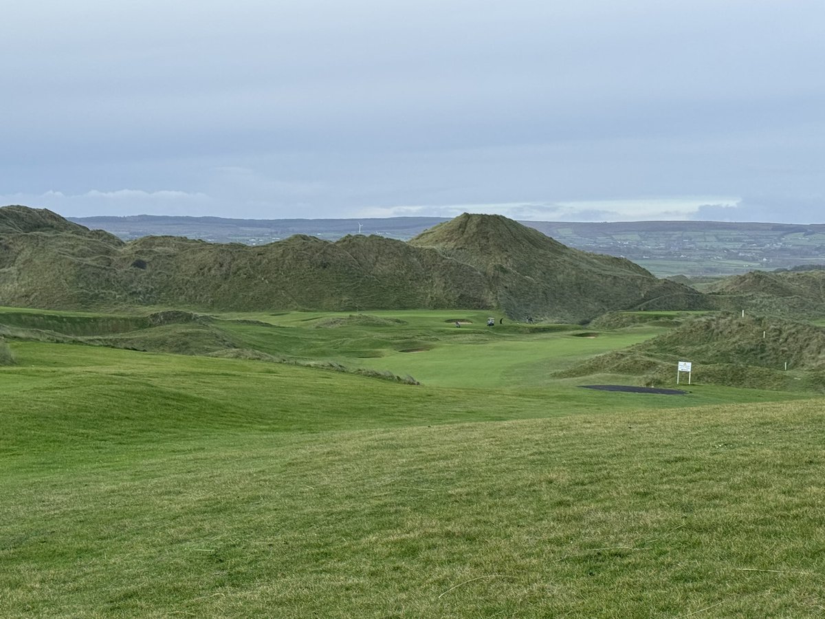 Steve Hewitt tweet media