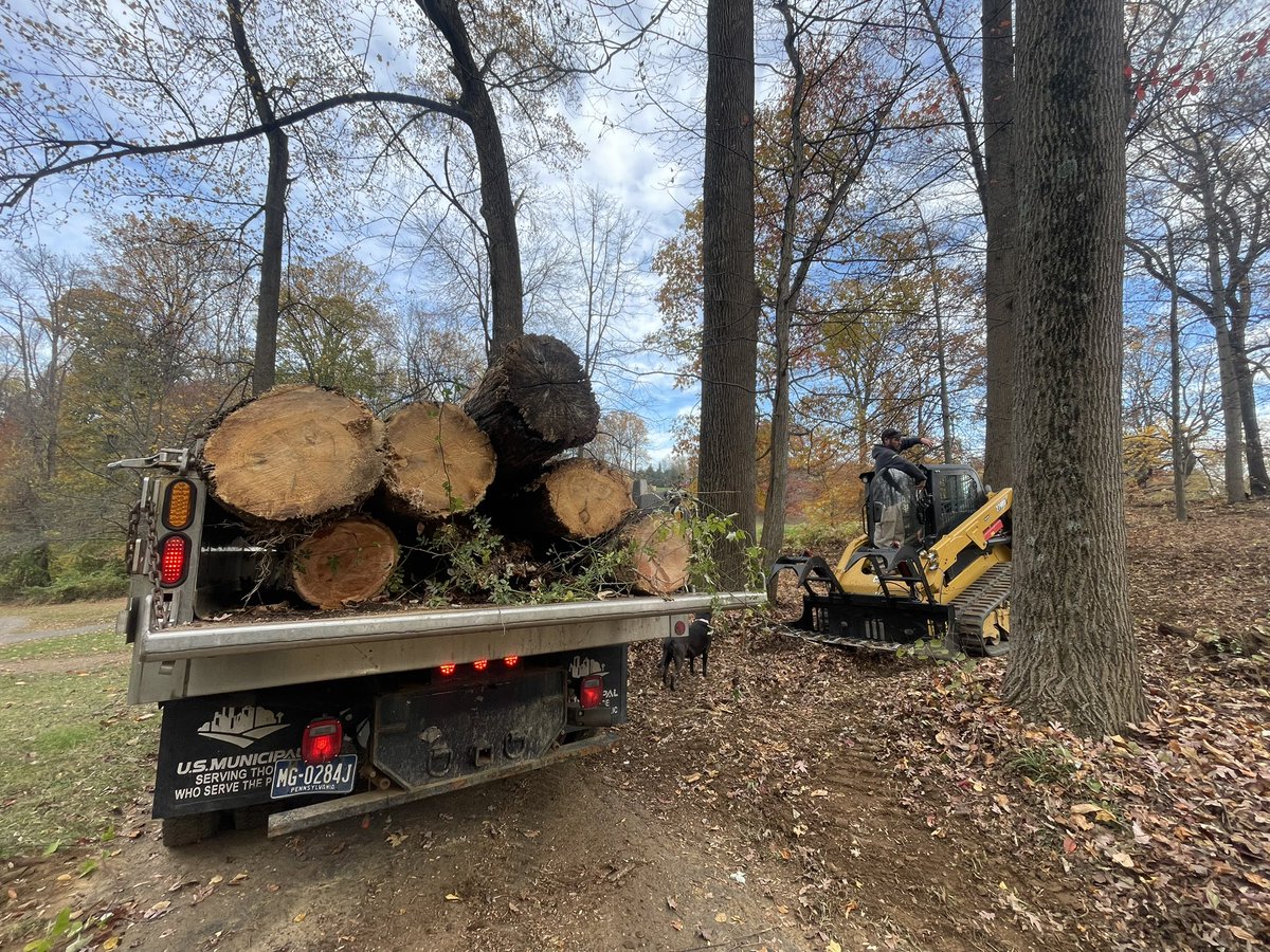 Howard Szczurek tweet media