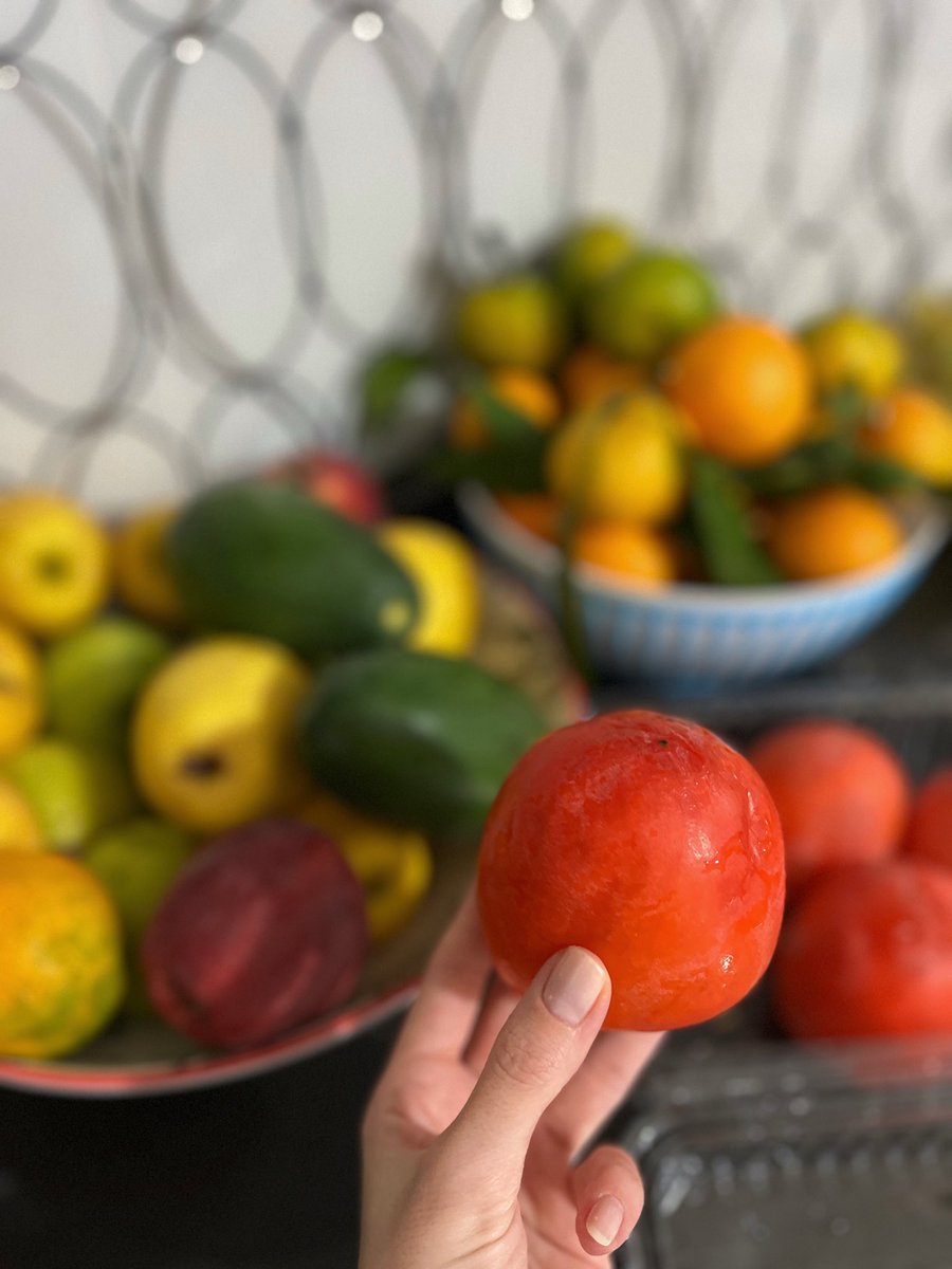 Cennet Hurması &gt; diğer kış meyveleri 🙂‍↔️