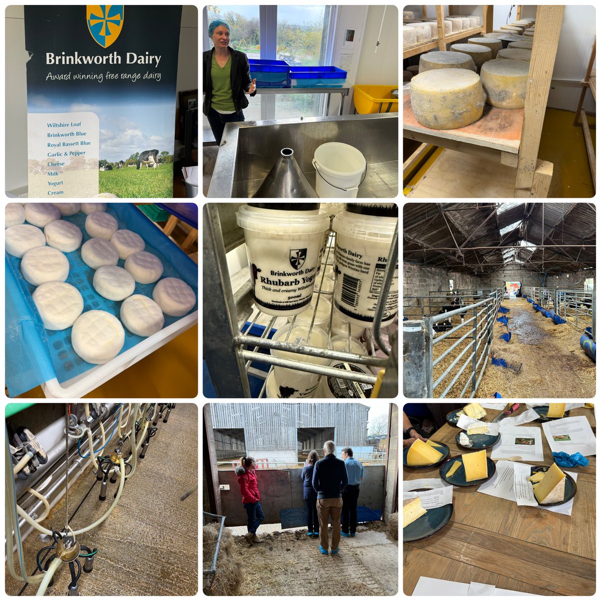 Cheese Etc tweet media