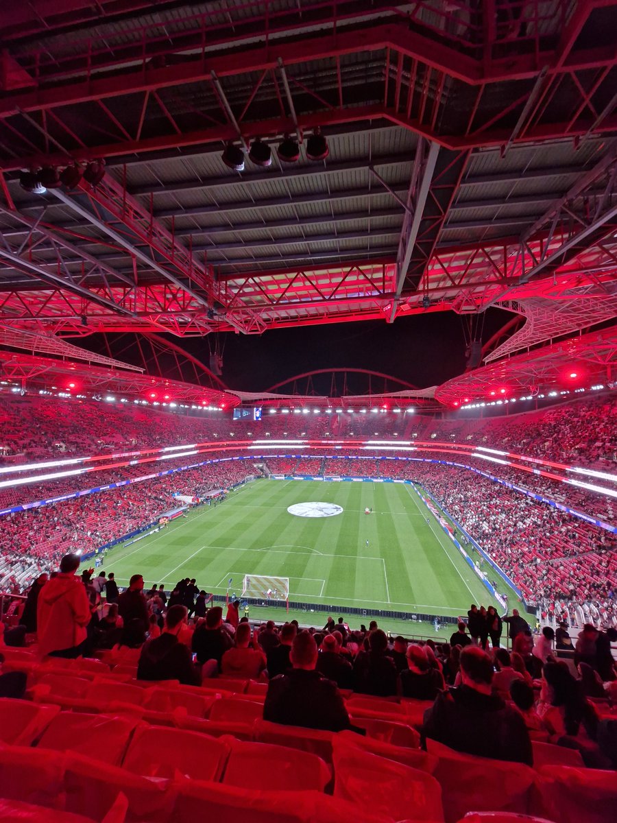 Vamos a eles, meu Benfica!