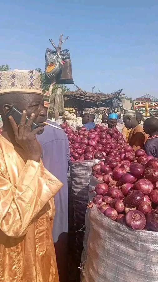 This is how they rollat Katsina onion market 😁😁

Chilling Alhaji 🎉🧅