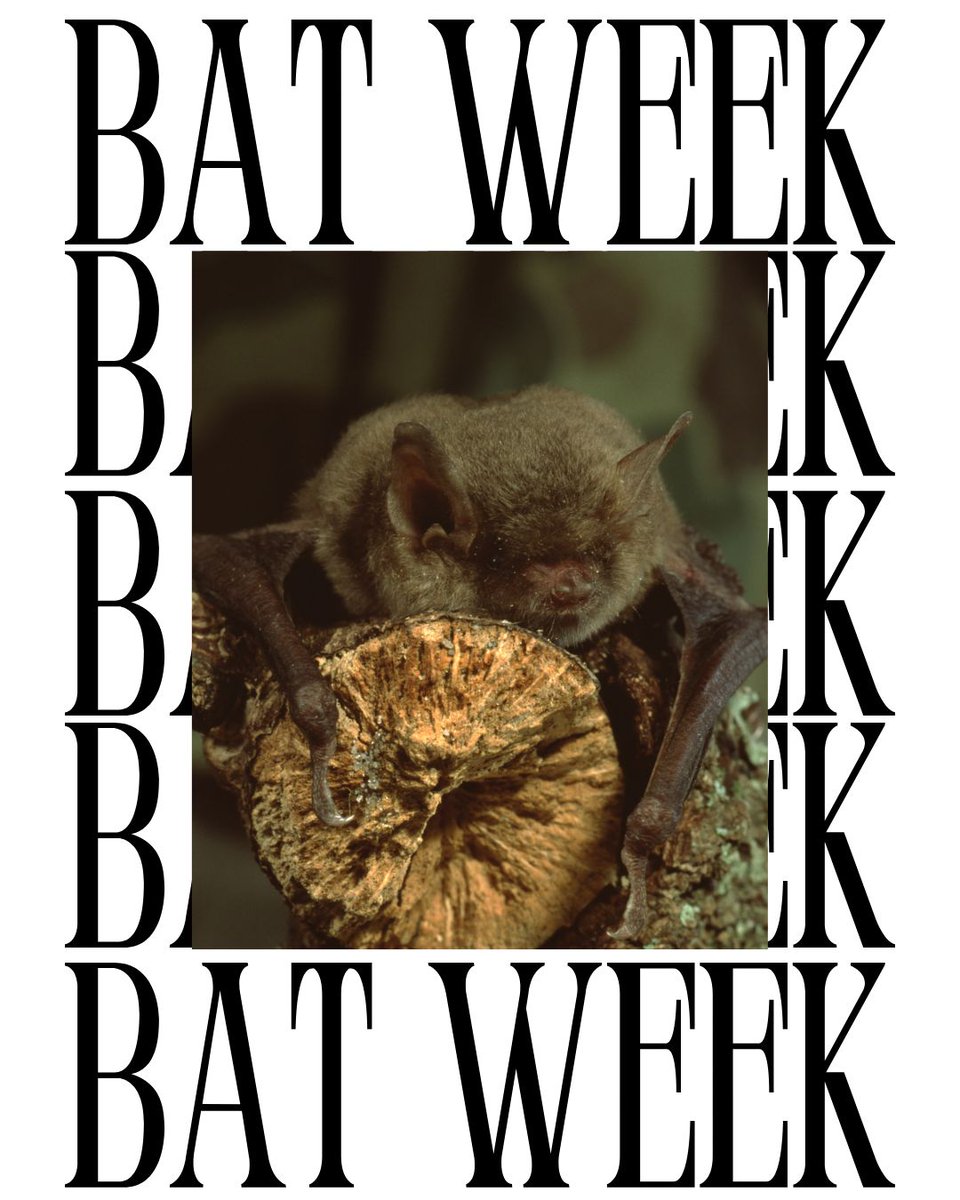 Invasive Species BC tweet media