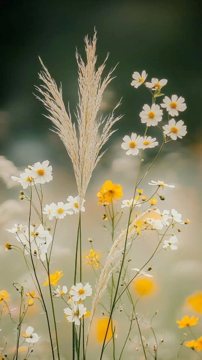 And do not turn your nose up to people, nor walk pridefully upon the earth. Surely Allah does not like whoever is arrogant, boastful.

Quran, 31:18

#Trump #patlama #WWECrownJewel 
#Afghanistan #LoveYourW #chilhavisto #MasterChefCelebrityColombia