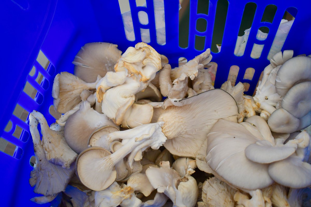 UNHCR Rwanda tweet media