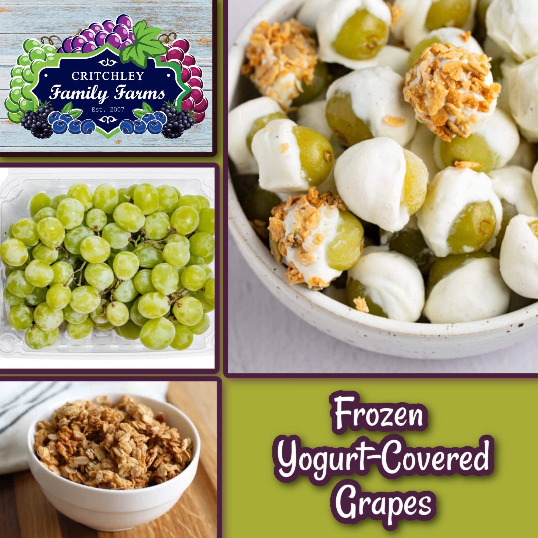 Who says snack time has to be boring? 
Grab your grapes, dip in vanilla Greek yogurt, freeze, and boom — snack goals achieved.
At #CritchleyFamilyFarms we’re all about growing smart, snacking smarter, and sharing the sweet side of ag. critchleyfamilyfarms.com/recipes/frozen…