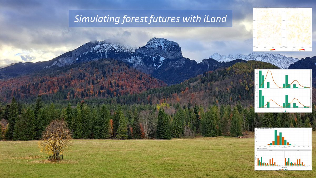 DE_Research_'s tweet photo. Simulating forest futures๐ฒForests cover 30% of Earth & store 3ร more carbon than the atmosphere, but face rising climate stress๐At the #RESDINET meeting, researchers trained in the #iLand model to simulate wind, beetles & management, building data-driven forest resilience ๐ฒ https://t.co/5QI8QqzwjM