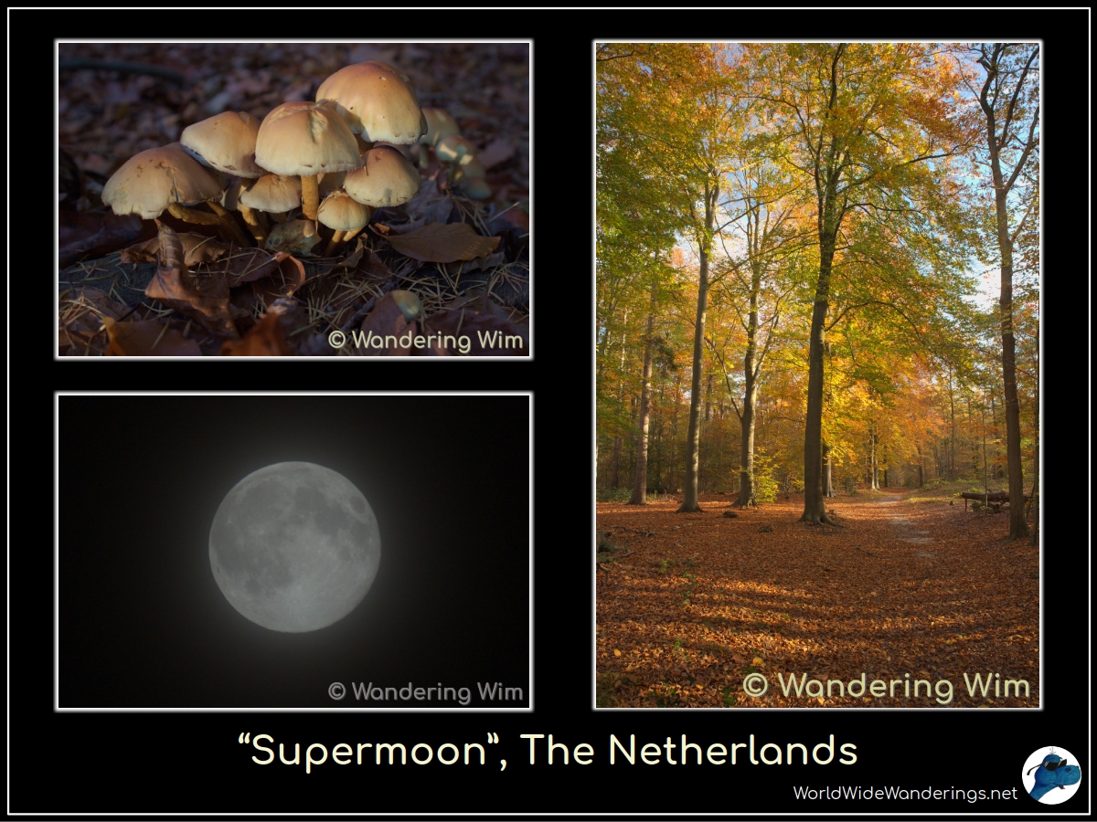 Fall scenes, and a somewhat hazy "supermoon" 🌕