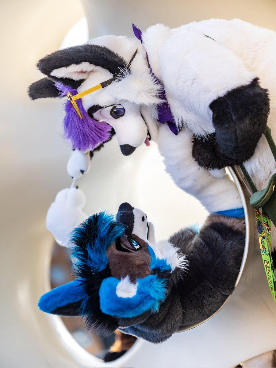 Hello cute critter 😍 
📷 <a href="/CaptainChaotika/">🌻 混沌的隊長 ➡️ AFC</a>