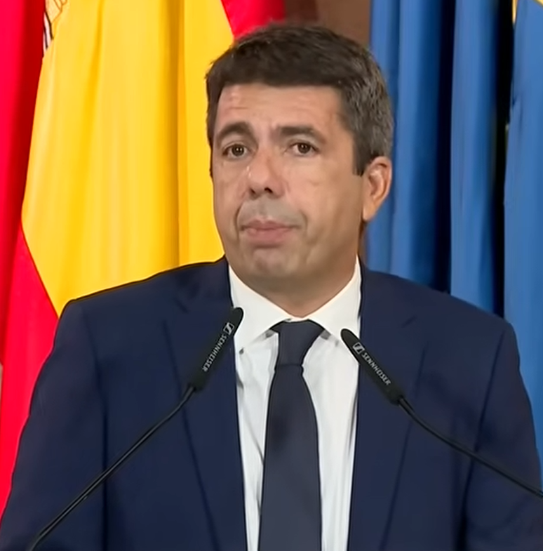 Bingo de llorones 🤮