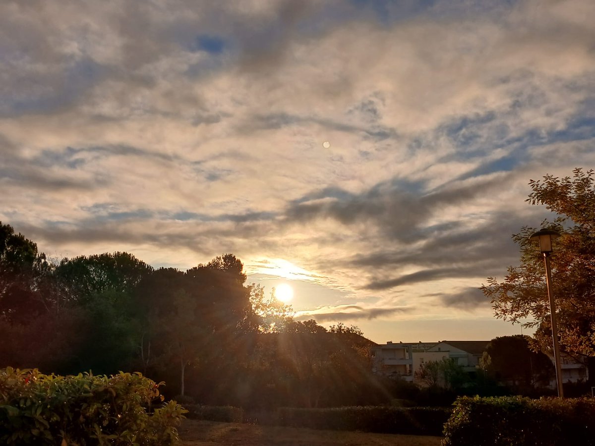 LaMeteodu34's tweet photo. ➡️ JEUDI 06
#meteo34

Couvert avec des averses le matin, passage pluvieux voir orageux et actif l'après-midi sur l'ensemble du Département avec des cumuls à surveiller sur l'O

Marin atteignant 50 à 70km/h,80 à 100km/h sur le bord de mer où de fortes 🌊 sont attendues 

🌡️Tx 17°C https://t.co/swHY9gg53s