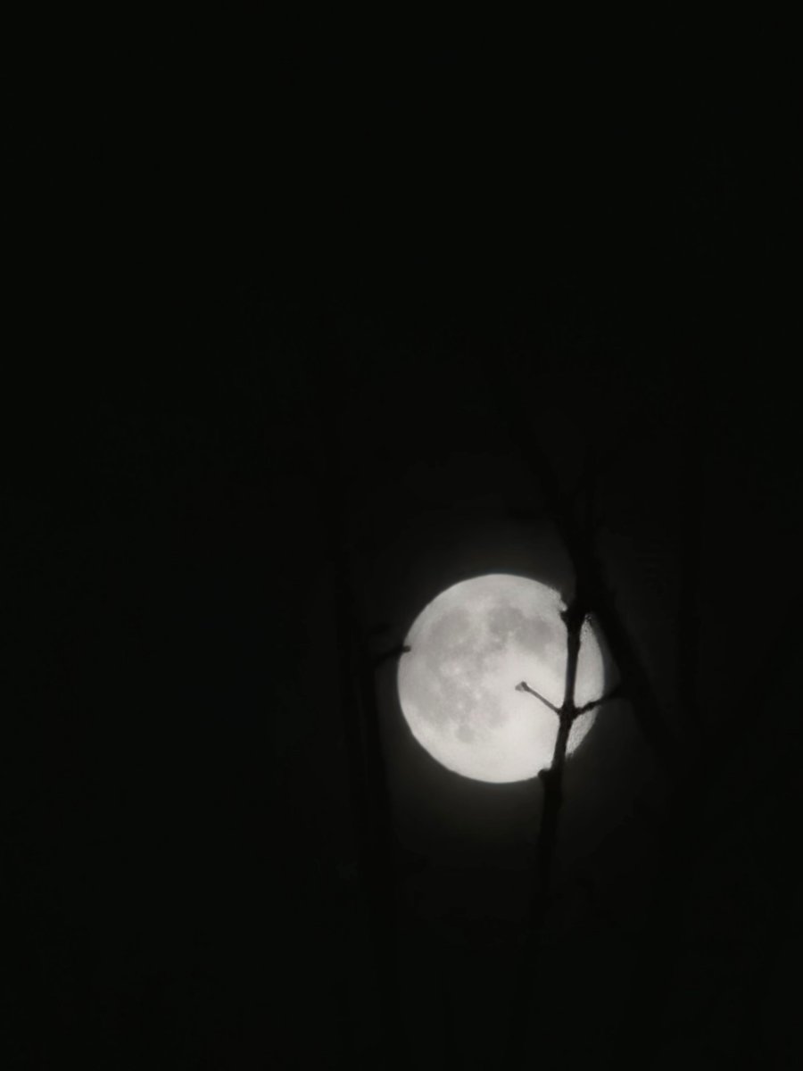 Rose28Louis's tweet photo. 😍 More picture's of the moon 🌚 https://t.co/CWiVrr9nk7