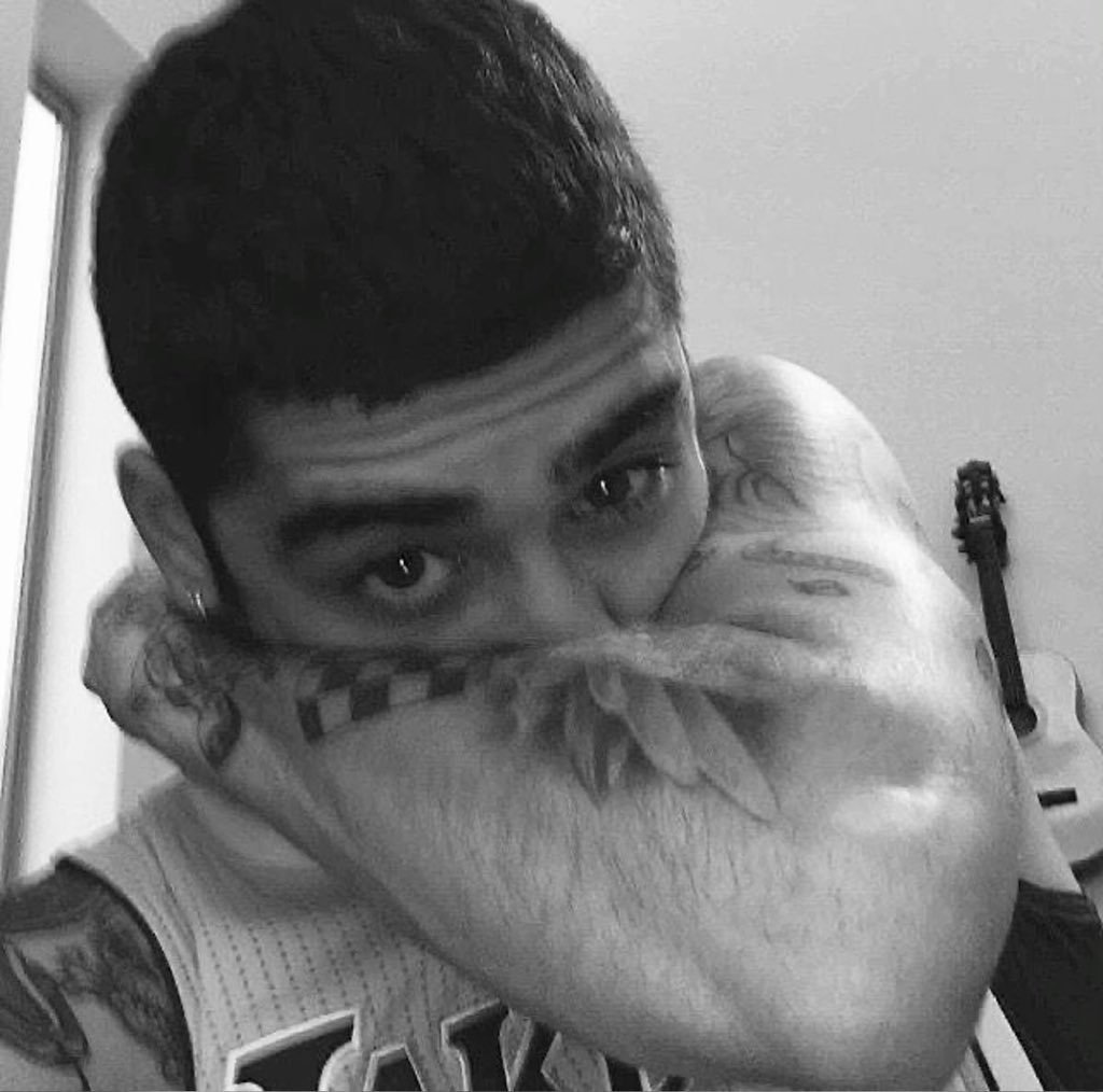 zmxot5's tweet photo. name a Zayn's song that is yours and ONLY yours ✋🙂‍↕️ https://t.co/um76StzqL8