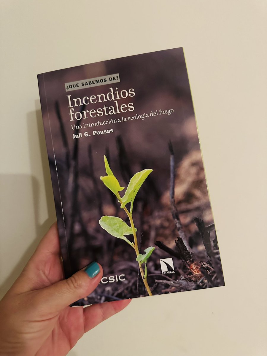 Vanessa Luis tweet media