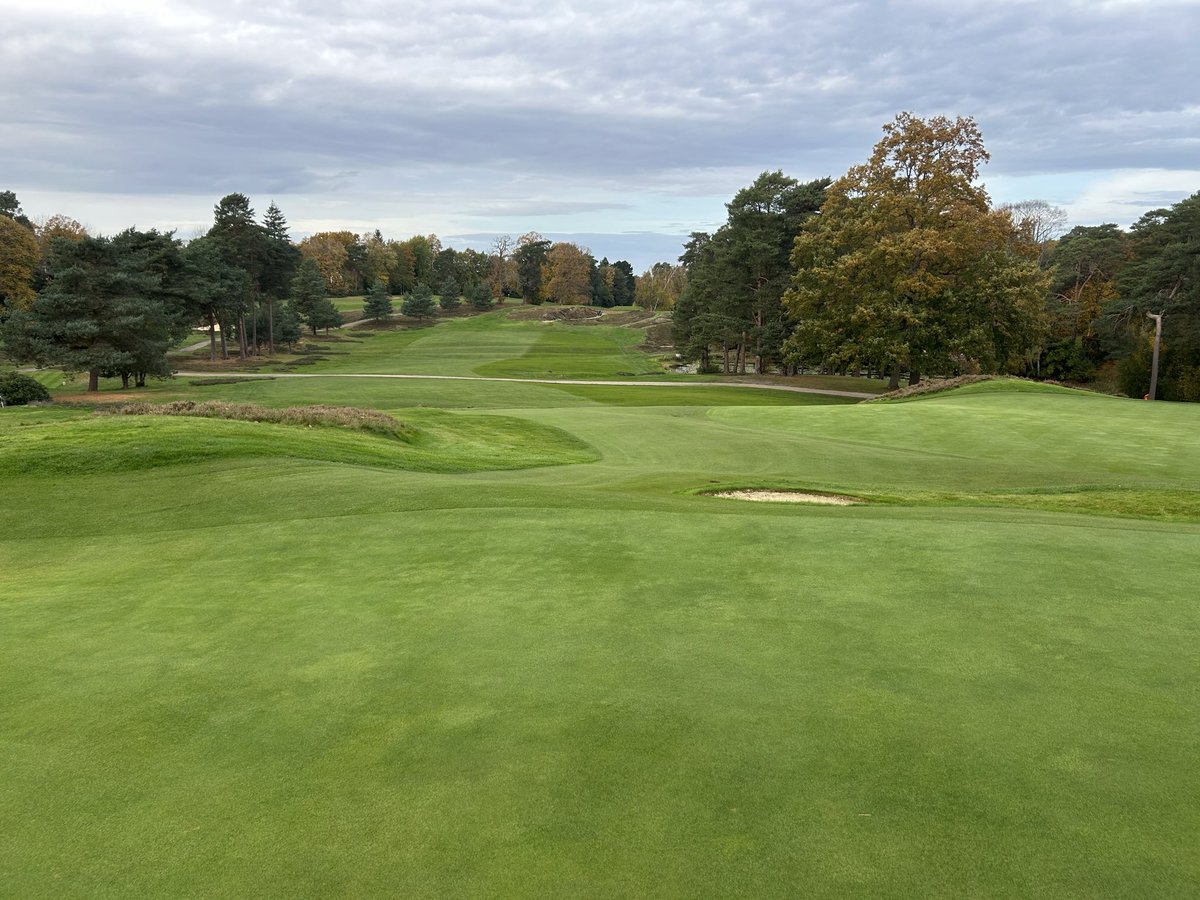 Grant Peters tweet media