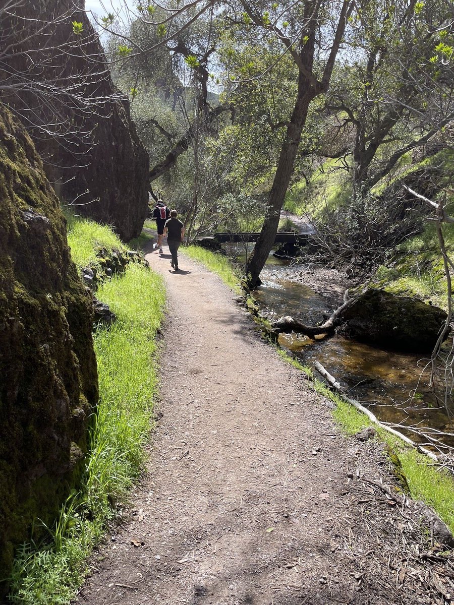 ProHappyJim's tweet image. Sometimes the path ahead gets clearer when you slow down.

Calm focus doesn&apos;t come from chasing it — it shows up when you pause long enough to breathe.

AI can help make space for that kind of calm. 🌿

#mindfulwork #AIandCreativity #clarity