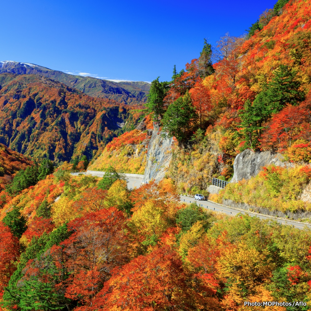 ¡Se completaron los 400 cupos para la visa Working Holiday 2025!
La próxima convocatoria se abrirá el primer día hábil del 2026 🙌
+info. 👉 ar.emb-japan.go.jp/itpr_ja/NuevoA…