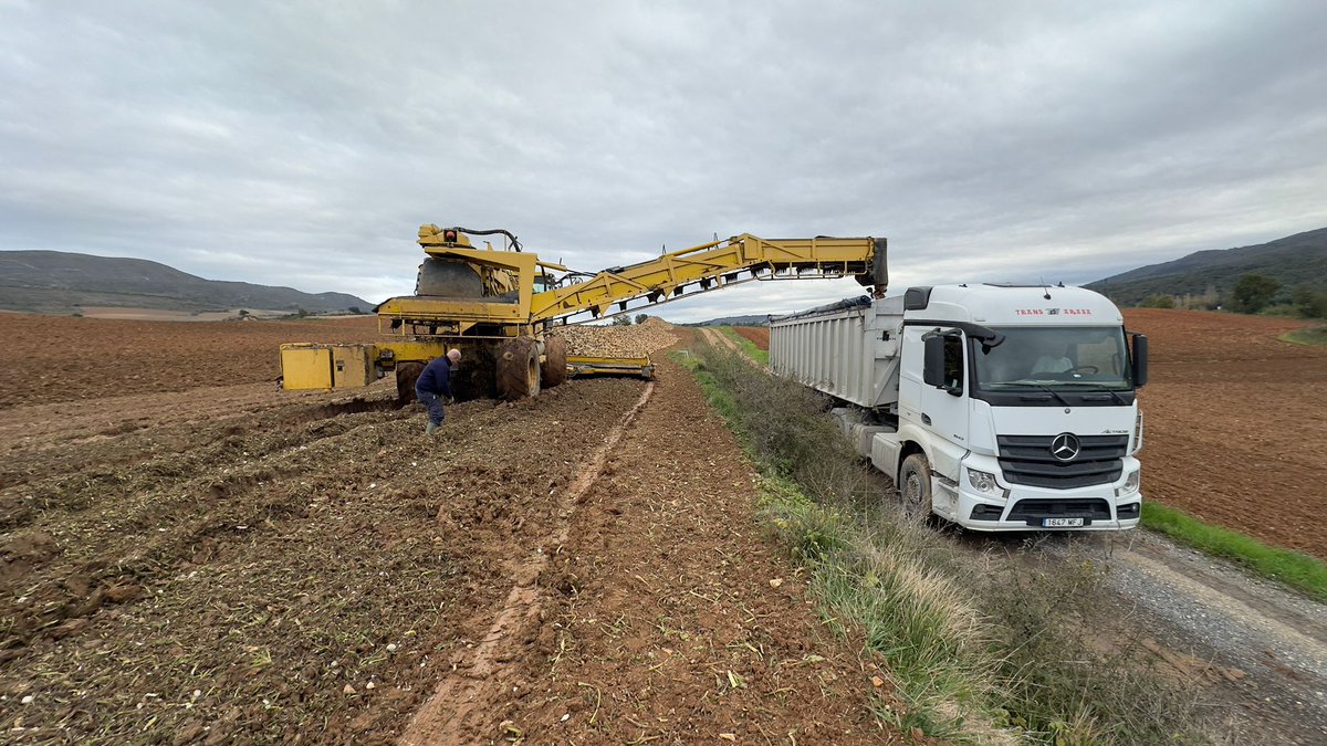 #Herrian 🎙️ La próxima campaña de la remolacha peligra en #Alava 👉 <a href="/UAGAiNFO/">UAGA</a> 

guau.eus/m/herrian-2025…