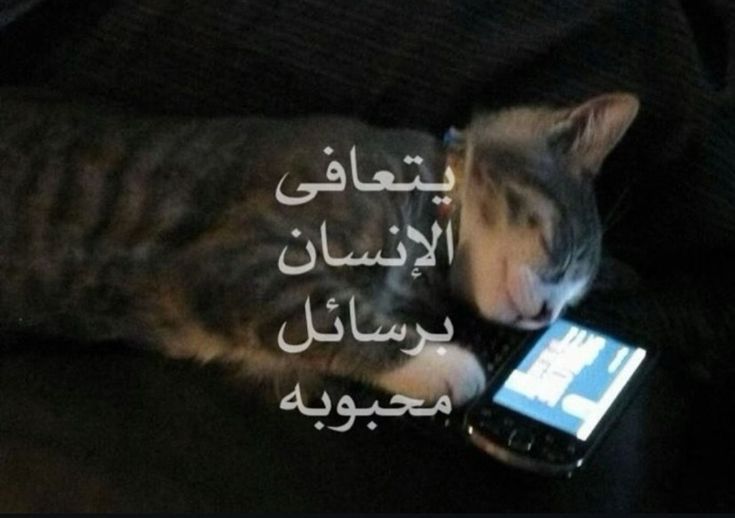 troom9troom9's tweet image. 