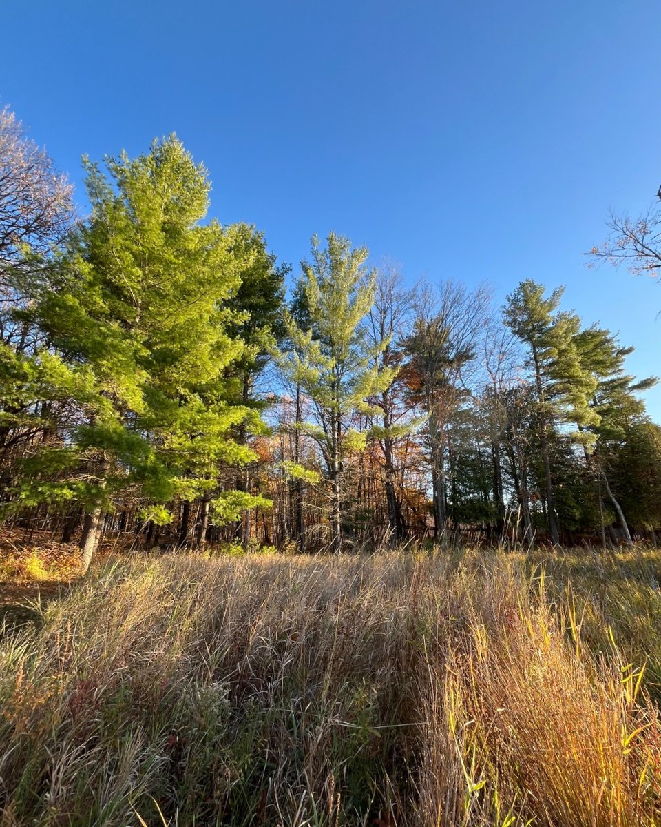 MurphysPointPP's tweet image. Today is #StressAwarenessDay.

DYK that some of the proven health benefits of time spent in nature include:
😊 Decreased stress
🤩 Increased self-esteem
😄 Improved mood
🎨 Increased creativity
🧠 Reduced mental fatigue
📈 Improved productivity

#OntarioParks #HPHP