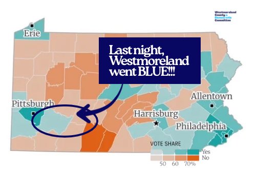 Michelle Milan McFall tweet media