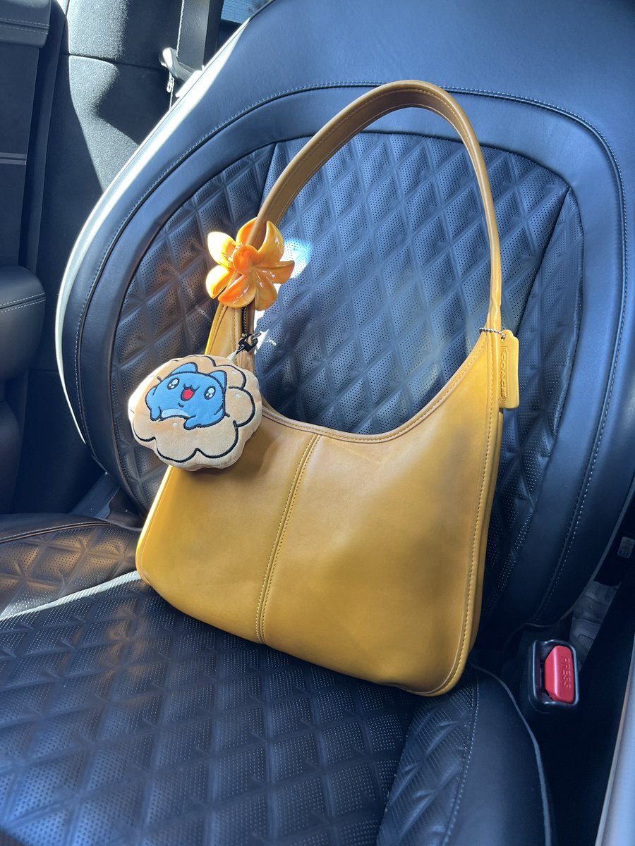 Mannecio's tweet photo. My passenger princesses https://t.co/tJZ3YsGIuX