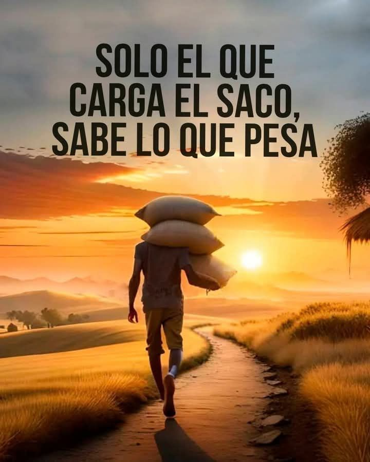 namaste_paz's tweet photo. 5 imágenes con profundo significado.

1. https://t.co/8kGgZVEwTE