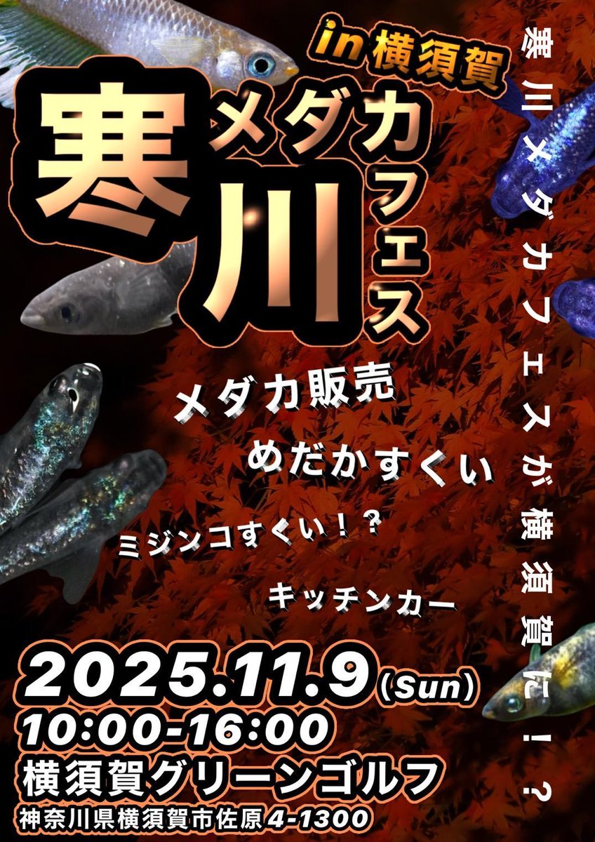 ピロめだか (@takato2sai) / Posts / X