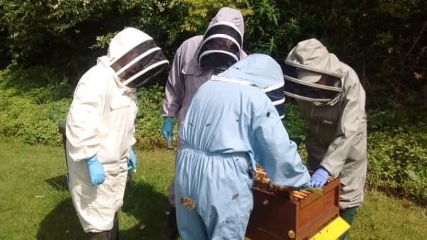 Barnet Beekeepers tweet media