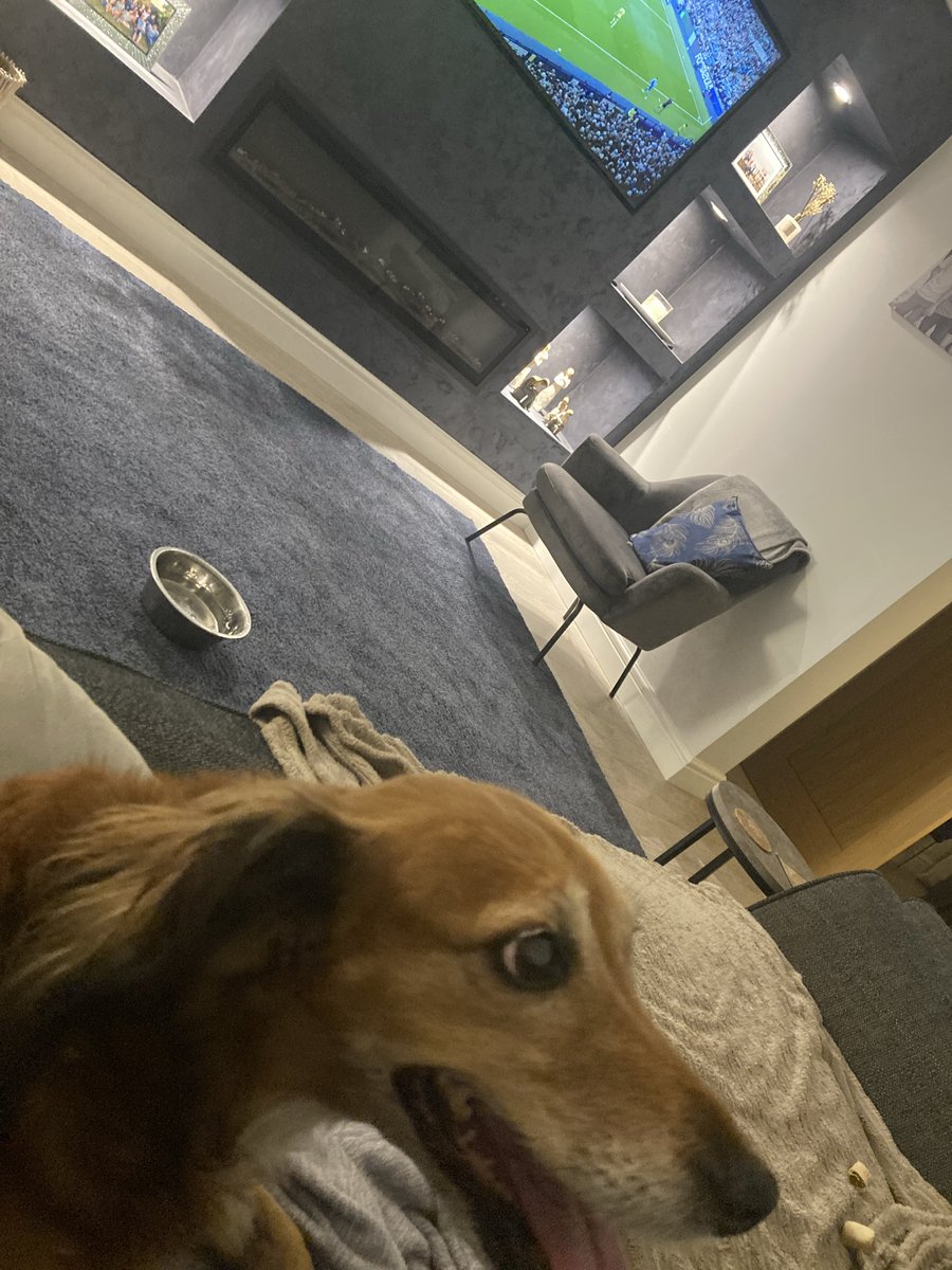 lm_orton's tweet photo. @mrdanwalker watching Wednesday on the box whilst listening to Classic FM very loud and Lady is still not very happy ☹️ https://t.co/Q3ZIovJV2t