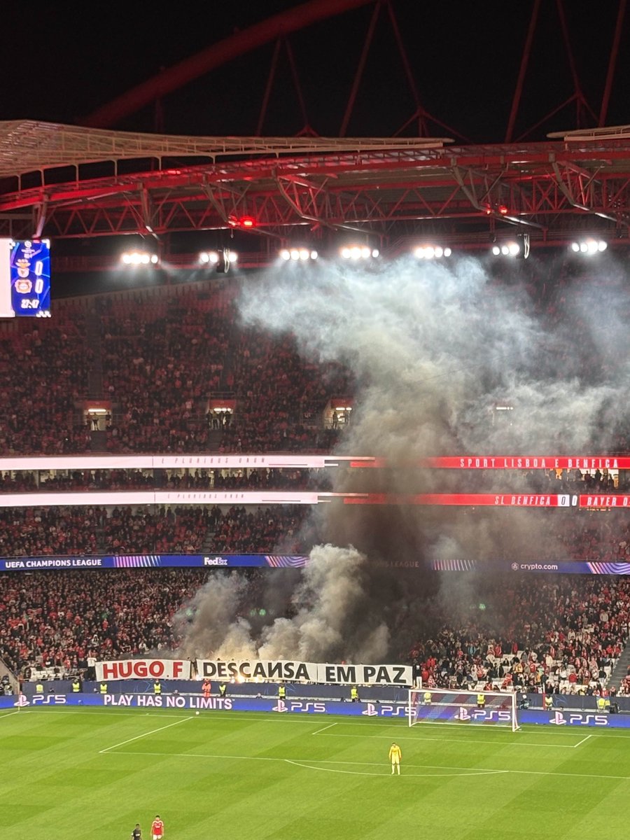 McQueeИ Infos 🚗 tweet media