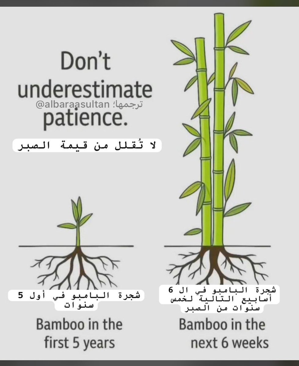 AlbaraaSultan's tweet photo. https://t.co/93bfDrFyia